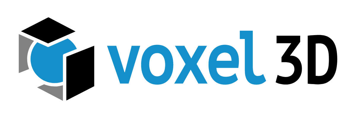 Voxel 3D Logo